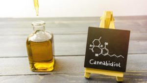 Aceite de CBD para perros