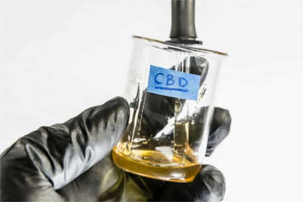 CBD beneficia muchas condiciones | Lea la investigación en White Widow